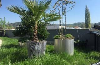 Loft kaufen in 8045 Graz, NEUER PREIS: Zentraler Wohntraum mit großzügiger Terrasse