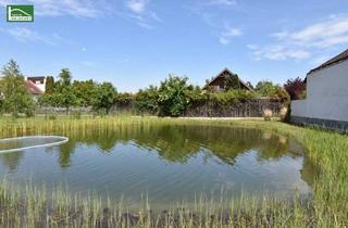 Wohnung kaufen in 3500 Krems an der Donau, Investoren aufgepasst - Anlegerwohnung (Nettopreis) bis 2028 vermietet - Süd-Garten mit "Badeteich" und Tiefgarage in begehrter Winzer Lage. - WOHNTRAUM