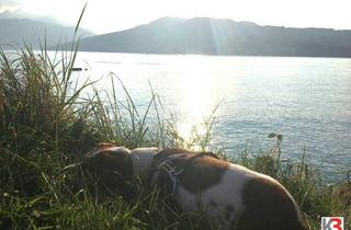 Grundstück zu kaufen in 4853 Steinbach am Attersee, K3 - SELTENE GELEGENHEIT - Baugrundstück I N K L U S I V E Benutzungsrecht für BADEPLATZ! Wohnen am traumhaften ATTERSEE!