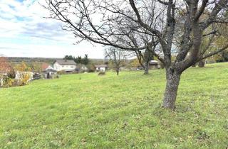 Grundstück zu kaufen in 7540 Güssing, Erhöhtes Baugrundstück mit Blick auf die Burg Güssing - kein Bauzwang