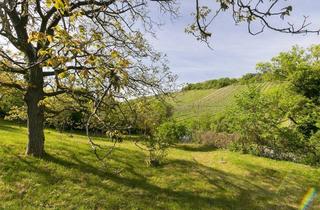Grundstück zu kaufen in Eichelhofstraße, 1190 Wien, Wohnen zwischen den Weinreben - einzigartiges Grundstück am Nußberg