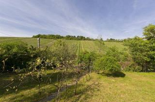 Grundstück zu kaufen in Eichelhofstraße, 1190 Wien, Wohnen zwischen den Weinreben - Grundstück in Toplage am Nußberg