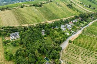 Grundstück zu kaufen in 1190 Wien, Naturnah leben, exklusiv genießen – Grundstück am Wiener Nussberg