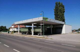 Grundstück zu kaufen in 2424 Zurndorf, iDEAL FÜR GEWERBE UND EIGENHEIM