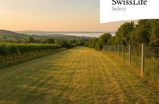 Grundstück zu kaufen in 7093 Jois, Attraktives Grundstück am Hügel in Neusiedler See Gegend