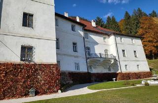 Haus kaufen in Niederhofen, 8950 Stainach, Renaissance-Schloss auf 15 ha Grund – seltene Gelegenheit für touristische Nutzung oder Family Office