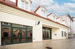 Anlageobjekt in 2700 Wiener Neustadt, Historisches Gewerbe-Wohnobjekt in Wiener Neustadt