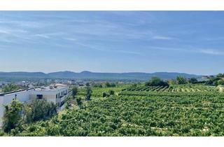 Wohnung mieten in Bründlgraben 47A, 3500 Krems an der Donau, Neubau Erstbezug Sonnige Drei Zimmer Wohnung mit geräumiger Außenfläche und Fernblick