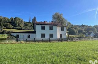 Haus kaufen in 8820 Neumarkt in Steiermark, Sonnige Alleinlage im Naturpark Grebenzen