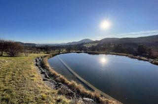 Villen zu kaufen in 8046 Graz, ANLAGE: Stilvolle Luxusvilla mit Weitblick