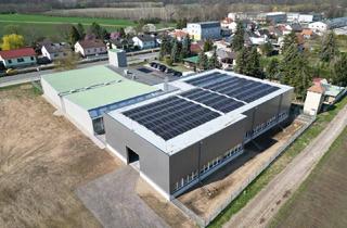 Gewerbeimmobilie kaufen in 2293 Marchegg, Gewerbeimmobilie in Marchegg – Produktions- & Lagerstandort mit Zukunft