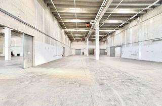 Büro zu mieten in 2334 Vösendorf, Lagerhalle mit Büro in Vösendorf zu mieten