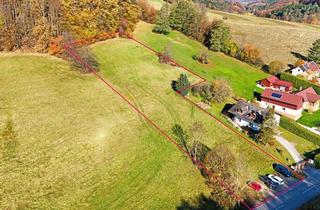Grundstück zu kaufen in 3021 Pressbaum, Großzügiges, naturnahes Grundstück in sonniger Ruhelage und mit herrlicher Aussicht