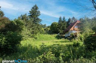 Grundstück zu kaufen in 2102 Hagenbrunn, An der Wiener Stadtgrenze – zwei nebeneinanderliegende Grundstücke in Toplage bei Hagenbrunn!