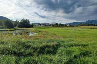 Grundstück zu kaufen in 9100 Völkermarkt, Schönes, ebenes Grundstück zur Freizeitgestaltung mit großem Teich, PROVISIONSFREI - ca. 14.170 m²