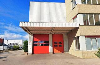 Büro zu mieten in Eitnergasse, 1230 Wien, 1.500 m² Lagerhalle (9 Meter hoch, keine Mittelstützen) + 65m² Büro in 1230 Wien - Eitnergasse 17