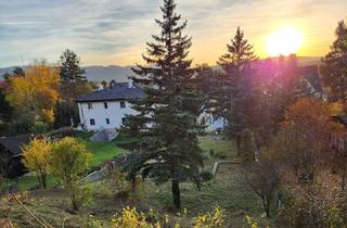 Grundstück zu kaufen in 2103 Langenzersdorf, Baugrundstück mit Grünlandanteil (Eigengrund)