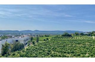 Wohnung mieten in Bründlgraben, 3500 Krems an der Donau, Neubau Erstbezug Sonnige Drei Zimmer Wohnung mit geräumiger Außenfläche und Fernblick