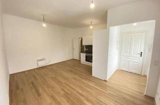 Wohnung mieten in Kleingasse, 1030 Wien, 1-Zimmer Wohnung Mitten im 3. Bezirk zu vermieten! 5.Stock | OHNE LIFT