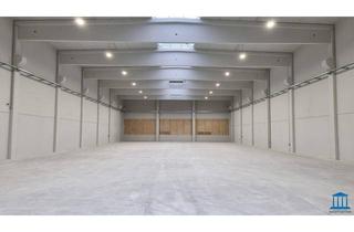 Büro zu mieten in 2604 Theresienfeld, IDEAL gelegene ca. 7-8m hohe Halle(n) - mieterspezifische Wünsche möglich (Kran etc.)