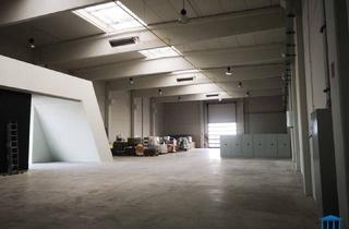 Büro zu mieten in 2604 Theresienfeld, IDEAL gelegene ca. 7-8m hohe Halle(n) - mieterspezifische Wünsche möglich (Kran etc.)