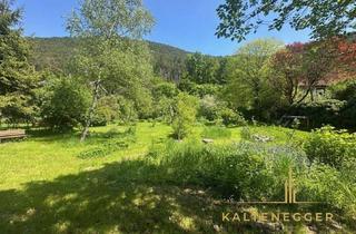 Grundstück zu kaufen in 2371 Hinterbrühl, Großzügiges Baugrundstück – sonnig, eben und von Natur umgeben