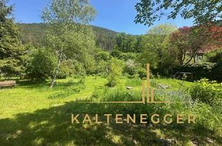 Grundstück zu kaufen in 2371 Hinterbrühl, Großzügiges Baugrundstück – sonnig, eben und von Natur umgeben