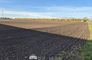 Gewerbeimmobilie kaufen in Speierlinggasse, 1220 Wien, "BAUhoffnungsTELEFON"