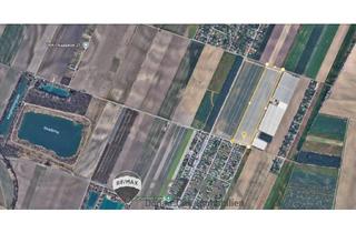 Gewerbeimmobilie kaufen in Speierlinggasse, 1220 Wien, "inVESTment"