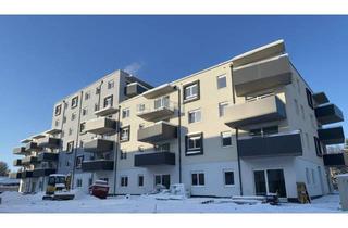 Wohnung mieten in Stadionstraße, 2700 Wiener Neustadt, ERSTBEZUG „ein viertel grün“ in Wiener Neustadt - traumhafte 3 Zimmer Dachterrassenwohnung