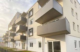 Wohnung mieten in Stadionstraße, 2700 Wiener Neustadt, ERSTBEZUG „ein viertel grün“ in Wiener Neustadt - traumhafte 3 Zimmerwohnung mit Balkon