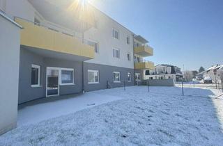 Wohnung mieten in Stadionstraße, 2700 Wiener Neustadt, ERSTBEZUG „ein viertel grün“ in Wiener Neustadt - ein Traum für Familien - 4 Zimmerwohnung in zentraler Lage mit Balkon