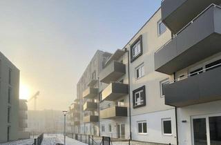 Wohnung mieten in Stadionstraße, 2700 Wiener Neustadt, „ein viertel grün“ in Wiener Neustadt - traumhafte 3-Zimmer-Wohnung im 3.OG mit Balkon – Erstbezug!