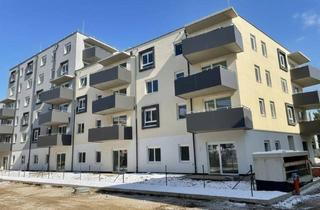 Wohnung mieten in Stadionstraße, 2700 Wiener Neustadt, ERSTBEZUG „ein viertel grün“ in Wiener Neustadt - großzügig angelegte 2 Zimmerwohnung mit Balkon