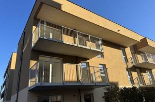 Wohnung mieten in Zirbenweg, 8401 Kalsdorf bei Graz, WUNDERVOLL! Lassen Sie sich begeistern! Helle 2-Zimmer-Neubauwohnung mit großzügigem Balkon, exklusiver Tischlerküche und Tiefgaragenplatz!