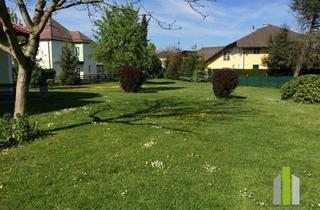 Wohnung mieten in 5230 Mattighofen, Helle 2-Zimmer-Terrassen-Wohnung mit Garten!