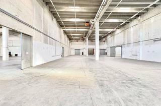 Lager mieten in 2334 Vösendorf, Lagerhalle mit Büro in Vösendorf zu mieten