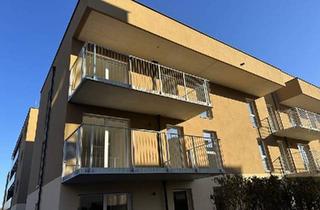 Wohnung mieten in 8401 Kalsdorf bei Graz, WUNDERVOLL! Lassen Sie sich begeistern! Helle 2-Zimmer-Neubauwohnung mit großzügigem Balkon, exklusiver Tischlerküche und Tiefgaragenplatz!