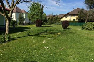 Wohnung mieten in 5230 Mattighofen, Helle 2-Zimmer-Terrassen-Wohnung mit Garten!