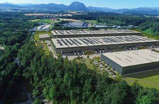 Gewerbeimmobilie mieten in Viecht, 4694 Ohlsdorf, VGP Park Ehrenfeld | anmietbar ab 3.000m²