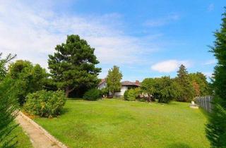 Grundstück zu kaufen in 2432 Schwadorf, Traumhaftes Baugrundstück, Nähe Wien, Schwadorf!