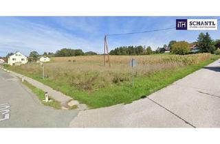 Grundstück zu kaufen in 8323 Krumegg, SENSATION! Ihr Traumprojekt vor den Toren von Graz: Baureifes Grundstück für modernes Wohnen in idyllischer Lage!