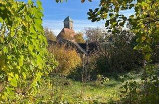 Grundstück zu kaufen in Wienerstraße, 2122 Ulrichskirchen, Riesiger Baugrund im Zentrum