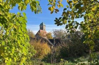 Grundstück zu kaufen in Wienerstraße, 2122 Ulrichskirchen, Riesiger Baugrund im Zentrum von Ulrichskirchen