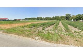 Grundstück zu kaufen in 3423 Wördern, 1-3 Stk. GEWERBE-Grundstücke mit einer Fläche von rd. 1000-4000m2 im Gewerbepark St. Andrä Wördern