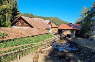 Bauernhäuser zu kaufen in 4294 Sankt Leonhard bei Freistadt, Romantischer Hof für Landwirtschaft, Mostheurigen, Gästezimmer