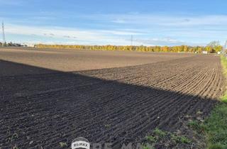 Immobilie kaufen in Speierlinggasse, 1220 Wien, "BAUhoffnungsTELEFON"