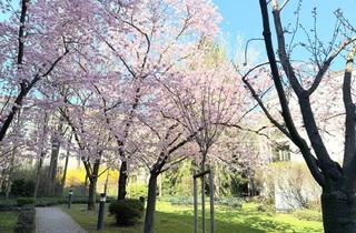 Wohnung mieten in Hugo-Wolf-Park / Hutweidengasse, 1190 Wien, Grünruhelage nahe Glanzing! Perfekt geschnittene 3-Zimmer-Wohnung mit optionalem Garagenplatz