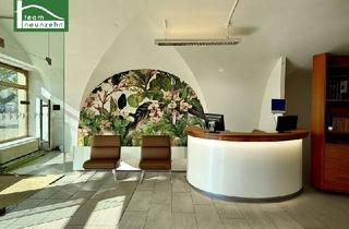 Büro zu mieten in Hauptplatz 19, 2460 Bruck an der Leitha, Repräsentatives Geschäftslokal in Bestlage am Hauptplatz in Bruck an der Leitha. - WOHNTRAUM