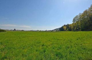 Grundstück zu kaufen in Sollern 55, 5230 Mattighofen, Attraktiver Baugrund in Pfaffstätt bei Mattighofen